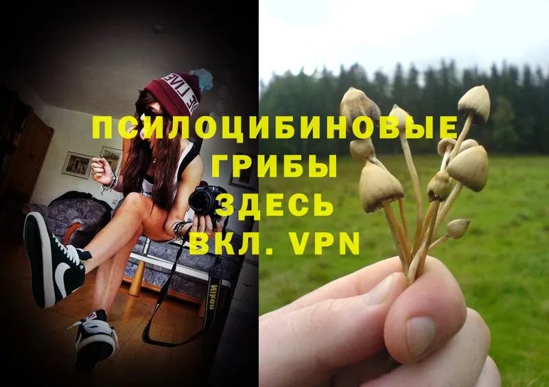 Псилоцибиновые грибы MAGIC MUSHROOMS Вилюйск